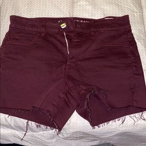 Burgundy shorts